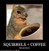 Click image for larger version. 

Name:	funny-pictures-squirrels-have-disco.jpg 
Views:	830 
Size:	31.0 KB 
ID:	1095