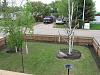 Click image for larger version. 

Name:	FrontYard..jpg 
Views:	487 
Size:	62.0 KB 
ID:	1792