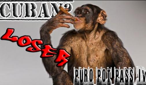 Loser   Monkey