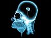 Click image for larger version. 

Name:	homer-simpson-wallpaper-brain-1024.jpg 
Views:	833 
Size:	49.0 KB 
ID:	2381