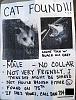 Click image for larger version. 

Name:	missing_cat.jpg 
Views:	522 
Size:	46.8 KB 
ID:	2501