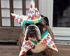 Click image for larger version. 

Name:	Happy_Birthday_Dog.jpg 
Views:	243 
Size:	46.0 KB 
ID:	3070