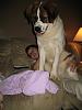 Click image for larger version. 

Name:	Penny 2.jpg 
Views:	3336 
Size:	83.7 KB 
ID:	3091