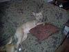 Click image for larger version. 

Name:	20130731_203027.jpg 
Views:	242 
Size:	90.2 KB 
ID:	3560