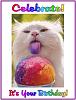Click image for larger version. 

Name:	BDAYKITTYimagesJVQ50EUL.jpg 
Views:	238 
Size:	12.9 KB 
ID:	3774