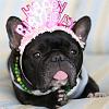 Click image for larger version. 

Name:	pinkbday.jpg 
Views:	2126 
Size:	25.8 KB 
ID:	4084
