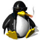 Cigar Penguin's Avatar