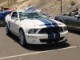 Shelby07